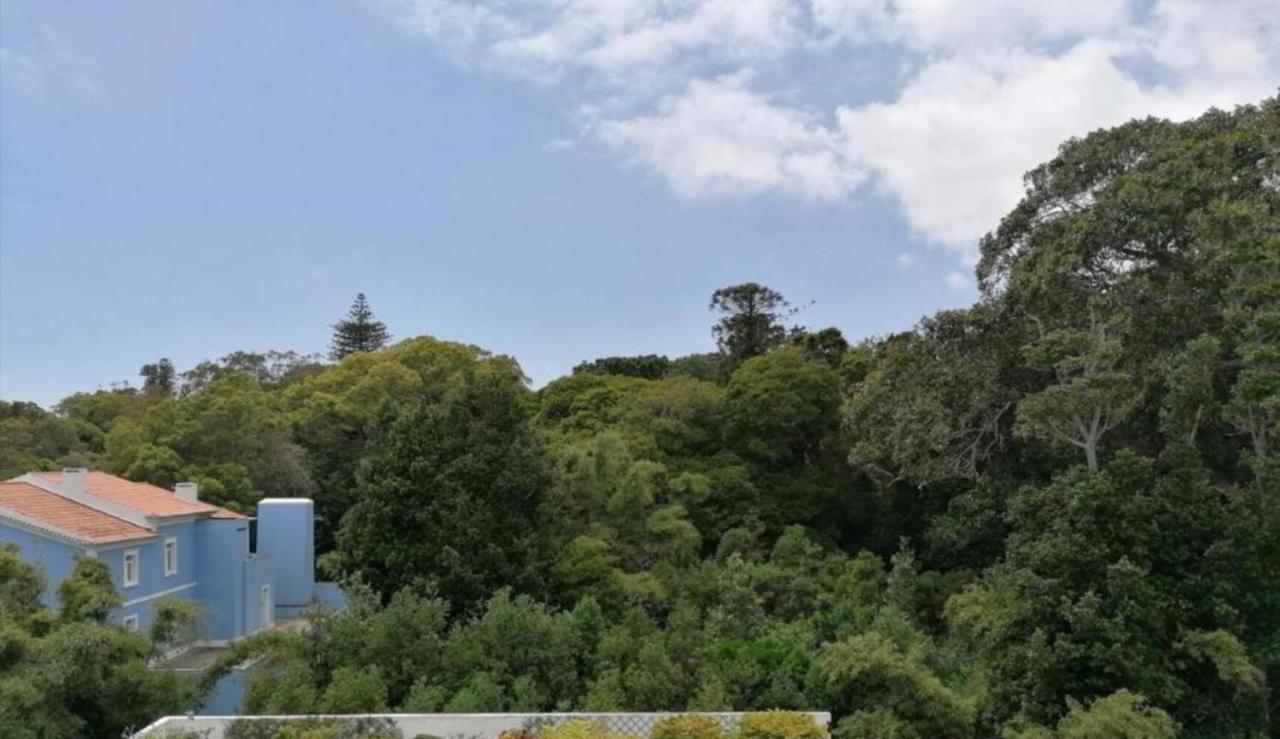 Apartament Arquinha Ponta Delgada Zewnętrze zdjęcie